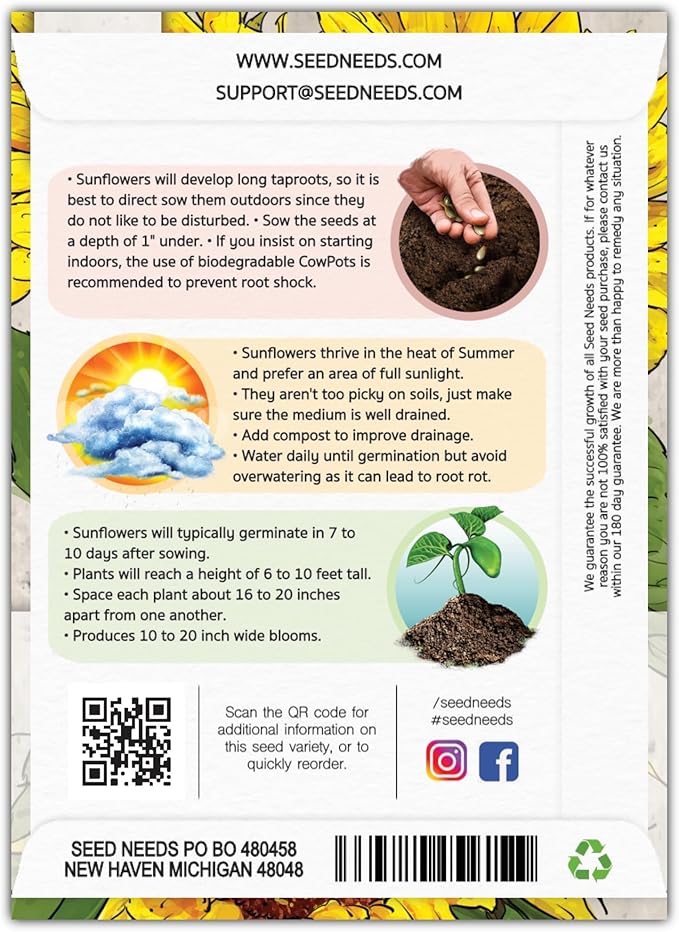 Seed Needs Mammoth Grey Stripe Sunflower Seeds for Planting - Heirloom & Open Pollinated Flower Seed to Plant an Outdoor Butterfly Garden (1 Pack)