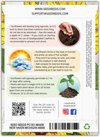 Seed Needs Mammoth Grey Stripe Sunflower Seeds for Planting - Heirloom & Open Pollinated Flower Seed to Plant an Outdoor Butterfly Garden (1 Pack)