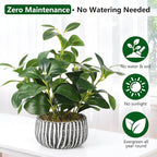 florisso Artificial Succulents with Fig Leaf Greenery in Rustic Clay Planter, Fake Succulents Potted Decor for Farmhouse, Bathroom, Bedroom, Kitchen, Office Desk and Coffee Table (Black White)