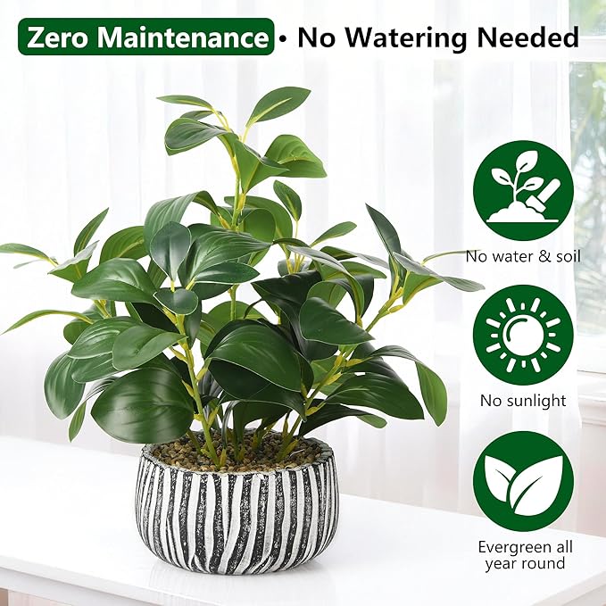 florisso Artificial Succulents with Fig Leaf Greenery in Rustic Clay Planter, Fake Succulents Potted Decor for Farmhouse, Bathroom, Bedroom, Kitchen, Office Desk and Coffee Table (Black White)