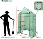 Heyfurni Walk in Greenhouse with Shelves,Walk-in Plant Green House with Durable Green PE Cover, 3 Tiers 6 Shelves Stands with Ground Pegs & Ropes for Stability, 56"x28"x76"