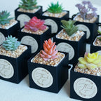 Temlum 2.5 Inch Succulent Wrap Bags (Fits 2.5″ Pots) with Thank You & Watch Me Grow Stickers, Small Gift Box for Wedding, Baby Shower, Succulent Party Favors for Guests (Black 40pcs)