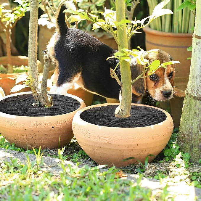 Newtay 4 Pcs 12'' Plant Pot Grid Soil Protector Covers Thickened Flower Protectors from Animals Black Cuttable Flower Grid Cat Digging Stopper for Indoor Outdoor Garden