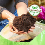 Back to the Roots All-Purpose Potting Mix 6 Quarts (Best Value), 100% Organic & USA Made for Herbs, Veggies, Flowers, w/Nutrient Rich Plant Food, Worm-Castings, & Moisture Controlling Yucca, 2 Packs