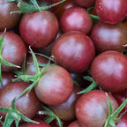 Seed Needs Tomato Seeds for Planting Black Cherry Tomatoes - Non-GMO Heirloom & Untreated Indeterminate Variety to Plant a Home Grown Outdoor Vegetable Garden (5 Packs)