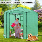 EAGLE PEAK 8.5x8.5 Portable Walk in Greenhouse, Pop Up Indoor Outdoor Greenhouse, Green House Kit with Zippered Roll-Up Doors and Windows, Hexagon Design, PE Cover, Clear/Green
