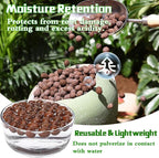 Legigo 4 LB Organic Leca Clay Pebbles for Plants, 4mm-16mm 100% Natural Leca Balls for Indoor Plants, Hydroton Clay Pebbles for Plants Hydroponic Aquaponics Growing Orchid Drainage Terrarium