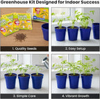 TickleMe Plant Deluxe Family Greenhouse Kit – Grow the Playful Plant that Closes Its Leaves When Tickled! Includes Mini Greenhouse, 3 Seed Packets, Soil Pellets & Pots – Fun Indoor Gardening Gift