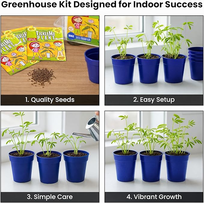 TickleMe Plant Deluxe Family Greenhouse Kit – Grow the Playful Plant that Closes Its Leaves When Tickled! Includes Mini Greenhouse, 3 Seed Packets, Soil Pellets & Pots – Fun Indoor Gardening Gift