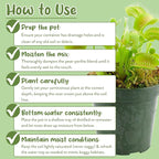 Soil Sunrise Carnivorous Plant Potting Soil Mix (1 Quart) Ideal Additive for Venus Fly Traps, Sundews, and Pitcher Plants