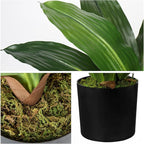 GnFlus Faux Plants 17'' Dracaena Artificial Plants Indoor Yucca Fake Potted Plant with 19 Leaves Tropical Silk Plant for Home Living Room Dining Table Kitchen Counter Office Shelf Décor