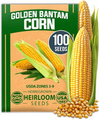 HOME GROWN Golden Bantam Sweet Corn Seeds 100+ Heirloom Non-GMO Seeds for Planting, High Germination, Yellow Kernel Corn on the Cob, Early Summer Harvest, Easy to Grow Home Garden Crop (Zea mays)