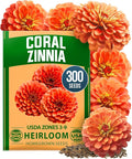 HOME GROWN Coral Zinnia Seeds (1g) – 300 Zinnia elegans Annual Flower Seeds for Planting Outdoors – Heat Tolerant Easy Summer Flowers to Plant – Herb Seed Companion for Pollinator Garden Beds for 2026