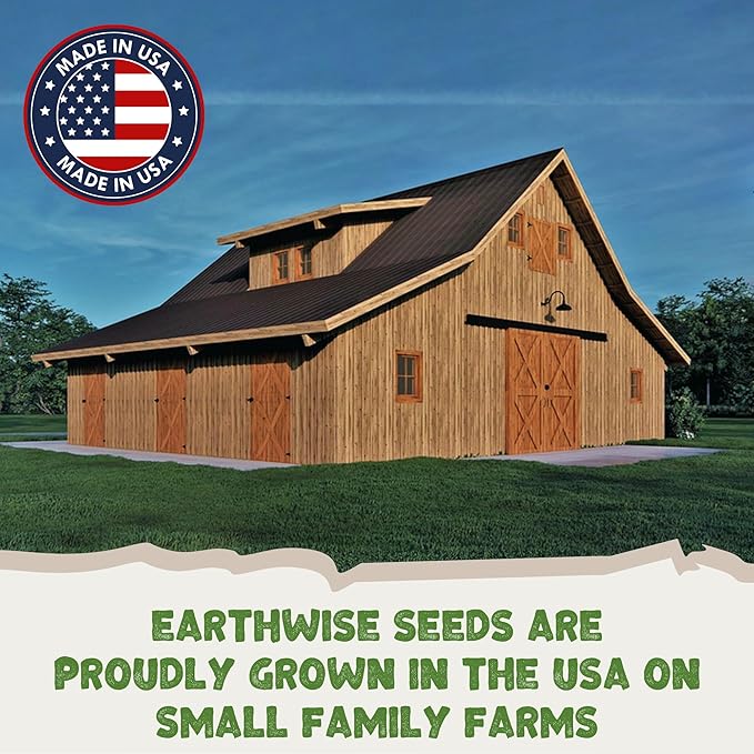 Earthwise Shady Native Wildflower Seed Mix – Shade Tolerant, Pollinator Friendly, Low Maintenance, Organic, Chemical-Free, Pet Safe, Moisture Adaptable, Non-GMO – Covers Up to 375 sq ft, 1/2 lb