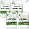 Liquid Fence Deer And Rabbit Repellent Ready-To-Use 1 Gallon, Apply Year-Round, 4 Pack