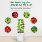Hydroponics Growing System, 30-Plant Indoor Hydroponic Tower with Pump System, Plants Germination Kit, Smart Aeroponic Herb Garden, Vertical Hydroponic System for Gardening Lover (No Seed)