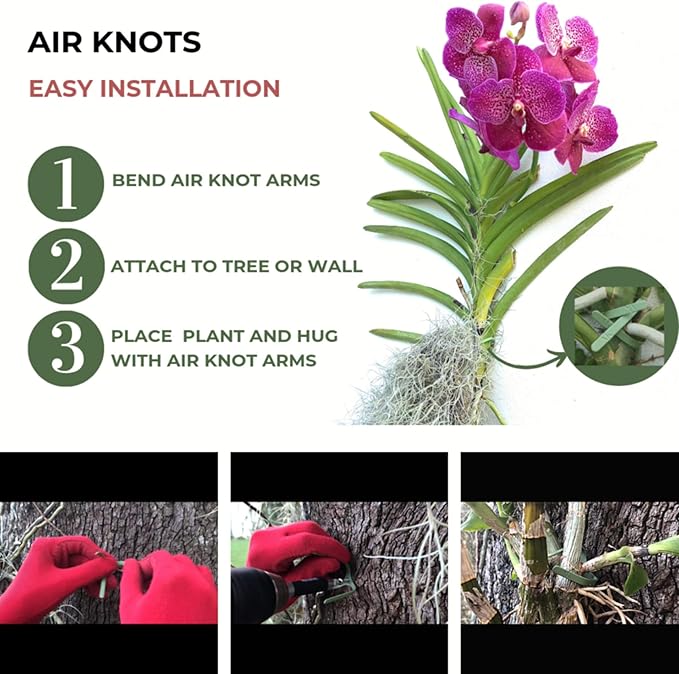 ArtAK Wall Planter Set of 5. Air Plant Holder Orchid Mount Plant Hook | Air Knots S5