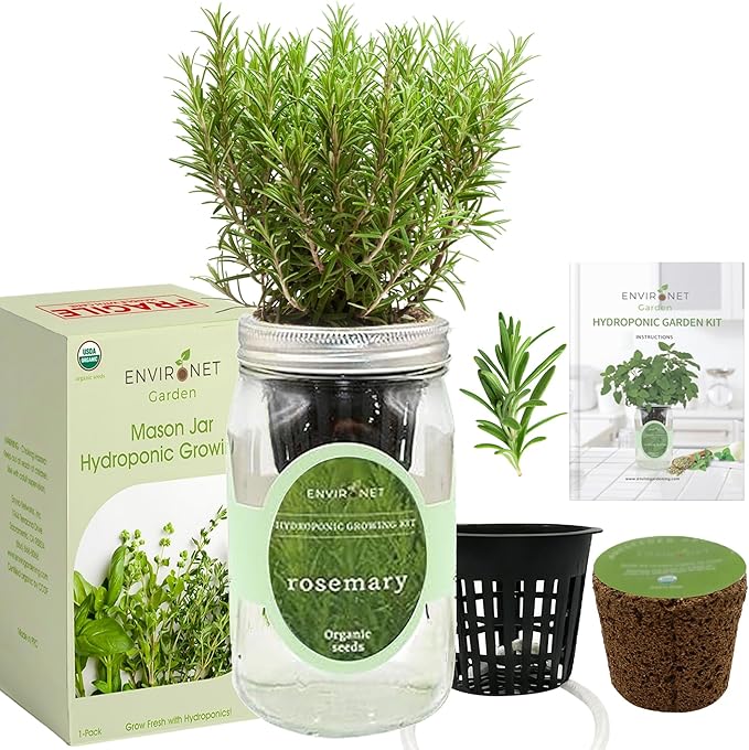 Hydroponic Herb Growing Kit, Self-Watering Mason Jar Herb Garden Starter Kit Indoor, Windowsill Herbs Garden, Grow Your Own Herbs from Organic Seeds (Rosemary)
