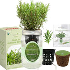 Hydroponic Herb Growing Kit, Self-Watering Mason Jar Herb Garden Starter Kit Indoor, Windowsill Herbs Garden, Grow Your Own Herbs from Organic Seeds (Rosemary)