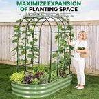 Galvanized Raised Garden Bed with Arched Trellis | 6x3x1FT Metal Raised Garden Beds Outdoor for Gardening Climbing Plant | Planter Box Outdoor with Gloves for Vegetable Flower, OliveGreen