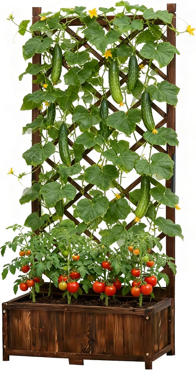Anraja Raised Garden Bed with Trellis Wooden Planter Box Outdoor Wood Compact Privacy Screen for Climbing Plant Planting Flower Patio Tomato Vegetable Herb Balcony Porch 29.5" L x 17.0" W x 67.0" H