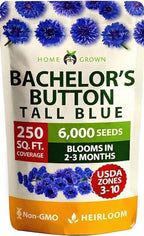 HOME GROWN Bachelor Button Seeds Tall Blue - 6000 Cornflower, Stunning Blue Blooms for Wildflower Gardens, Non-GMO Flowers & Pollinator-Friendly Spaces, Low Maintenance Flower Seeds (Centaurea cyanus)