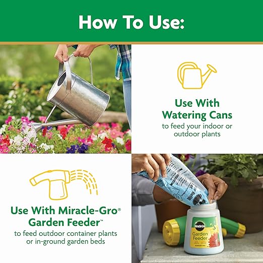 Miracle-Gro Water Soluble All Purpose Plant Food - Fertilizer For All Indoor or Outdoor Plants including Roses, Flowers, Vegetables, Houseplants, Trees, and Shrubs, 1.5 lbs.