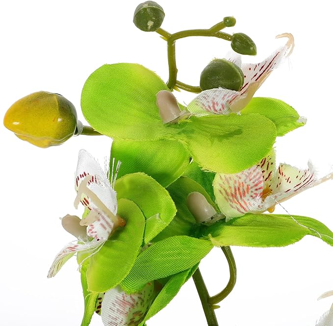 Baluue Artificial Moth Orchid Bonsai Potted Flower, Realistic Simulation Plastic Fake Potted Plant, Green Desktop Home Décor for Living Room and Office