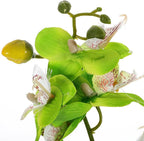 Baluue Artificial Moth Orchid Bonsai Potted Flower, Realistic Simulation Plastic Fake Potted Plant, Green Desktop Home Décor for Living Room and Office