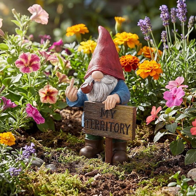 Lavezee Funny Garden Gnome, Middle Finger Gnomes Statue with Solar Lighted Sign – “My Territory” for Patio Backyard Porch Outdoor, Humorous Housewarming Gifts for Men Dad Husband