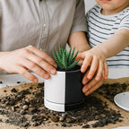 D'vine Dev 3.5 Inch Ceramic Planter Pot with Drainage Hole and Saucer, Indoor Cylinder Round Planter Pot, Split Monochrome Black & White, 94-O-A-0