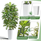 Artificial Dracaena Tree - 7FT Tall Fake Plants with White Tall Planter - Artificial Plants Indoor Floor Plant in Pot - Large Tropical Fake Yucca Potted Tree for Home Office Living Room Decor