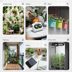 RAINPOINT Easy-Setup Automatic Plant Waterer Indoor for Pot Plant Adjustable Water Output,Battery Powered Outdoor IP54 Waterproof Drip Irrigation System Device Kit Beginner-Friendly Water 10-15 Plants
