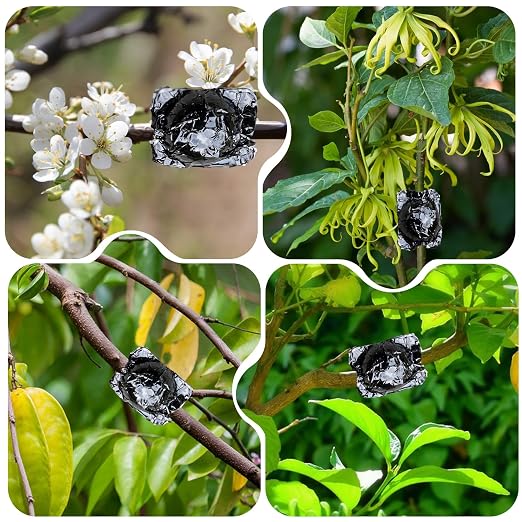 SupKing 8 Pcs Plant Rooting Grow Propagation Ball Air Layering Pods Clear Assisted Cutting Rooting Reusable Plant Rooting Device High Pressure Ball Grafting Device Root Box for Plants