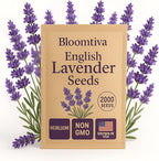 Premium English Lavender Seeds – 2,000 Non-GMO, USA-Grown Herb Seeds for Indoor & Outdoor Planting – High Germination Wildflower (Lavandula angustifolia)