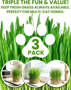 Cat Grass Kit for Indoor Cats, 3 Pack Fast Growing Cat Grass Kit with Eco-Friendly Biodegradable Pots, Soil & Wheatgrass Seeds, Grows in 3-7 Days with High Germination Rate
