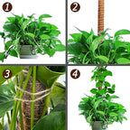 60 Inch Moss Pole for Plants Monstera, Tall Bendable Moss Poles for Climbing Plants Indoor, Large Handmade Plant Pole Sticks, Coco Coir Plant Support Stakes for Potted Plants, Pothos