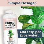 Fiddle Leaf Fig Plant Fertilizer – Liquid Plant Food for Bigger Leaves, Stronger Roots & Healthy New Growth, 32 oz