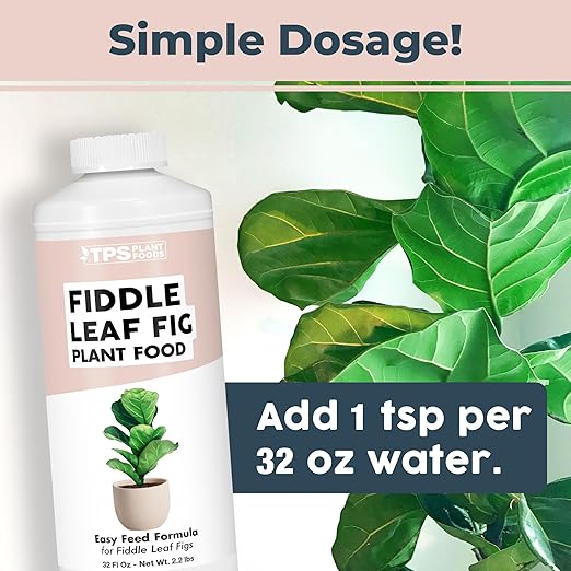 Fiddle Leaf Fig Plant Fertilizer – Liquid Plant Food for Bigger Leaves, Stronger Roots & Healthy New Growth, 32 oz