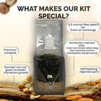 MycoHaus Mushroom All in One Growing Kit with Injection Ports | Indoor Grow Bags for Mushrooms | Home Cultivation Supplies | Without Spores | 8 Pack