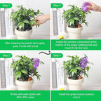 3 Packs Grape Plant Watering Globes with Terracotta Stakes, Glass Self-Watering Planter Insert, Automatic Watering Bulbs for Indoor & Outdoor Plants, Refillable via Top Opening