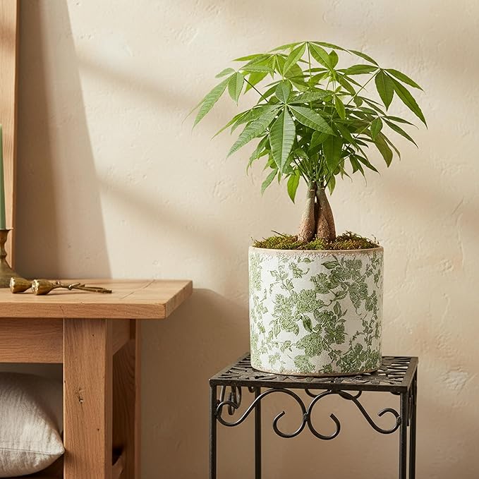 7.7" Large Green Plant Pots, Flower Pots Without Drainage, French Country Farmhouse Pots for Plants, Tree Pot for Olive & Money Tree, Garden & Home Decor, Gifts for Women, Indoor/Outdoor Planters