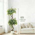 6FT Artificial Ficus Tree with White Pot, Tall Faux Ficus Plant with Realistic Natural Trunk and Lifelike Green Leaves, Indoor Fake Silk Tree for Home, Office, Living Room, or Corner Decor
