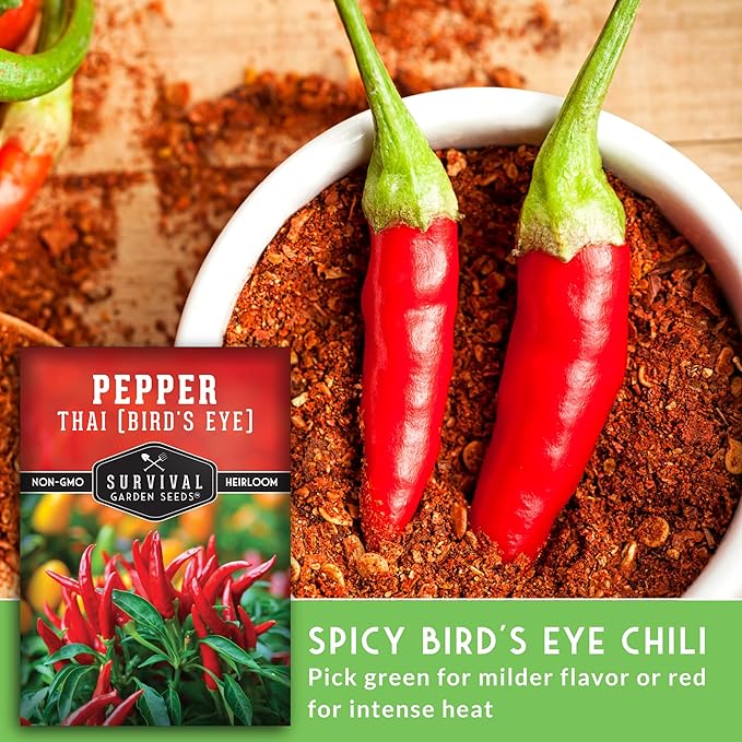 Thai Chili Pepper Seeds for Planting | Bird’s Eye Hot Peppers – Heirloom Non-GMO Hot Chilis for Spicy Cooking & Container Gardens – Survival Garden Seeds (2 Packs)