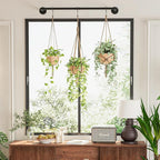 Plant Hanger Indoor Hanging Planters for Indoor Plants Hanging Plant Holder Black Metal Rod(Pot/Chain/Plant not Included