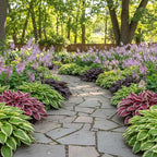 100+ Hosta Seeds for Planting Outdoors, Mixed Color Rare Perennial Flower Seeds, Shade Loving Hosta Plants for Garden Beds, Containers, Patios