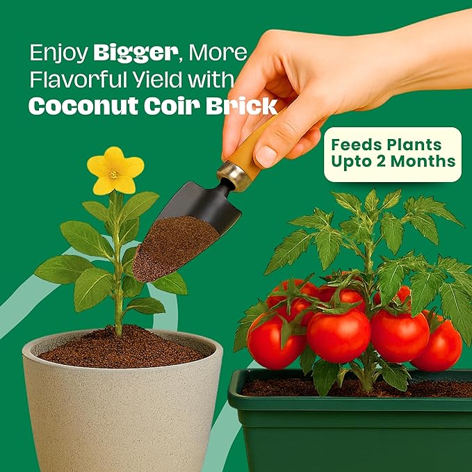 Gro-Med Coco Coir Brick 6s Pack – 1.4 lb Each, Expands to 60 Quarts, NPK Enriched Organic Coco Coir for Plants, OMRI-Listed Cocopeat Bricks for Garden Soil, Potting Mix & Indoor Outdoor Gardening
