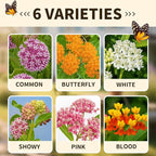 720+Mix Milkweed Seeds for Monarch Butterflies - 6 Individual Varieties Perennial Wildflower Colorful Pollinator Garden (Each pack120+ Seeds)., Easy to Grow for Backyard & More (Mix Milkweed Seeds)