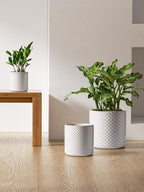 LE TAUCI Ceramic Pots for Plants, 10/8/6 Inch Indoor Planters with Draiange Hole, Silicone Plug & Mesh Pad, Modern Rasied-Dots Pots for Home Office, Set of 3, Glossy, Arctic White