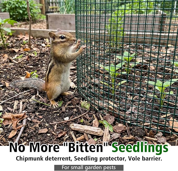 8 Pack Plant Protectors from Animals with 0.55" Fine Mesh, 12" x 16" Metal Wire Plant Cages for Seedlings, Garden Protectors to Keep Small Critters Out, 24 Panels with Zip Ties & Stakes